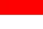 language-icon